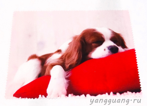 Салфетка №24