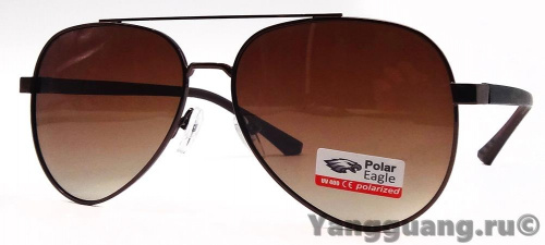 Polar Eagle 8736 C2