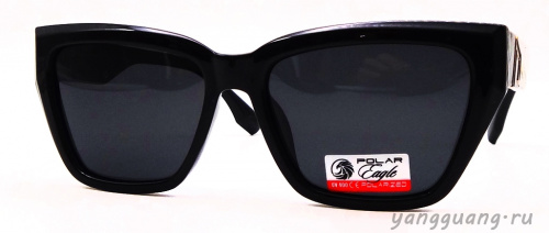 Polar Eagle 09413 C3