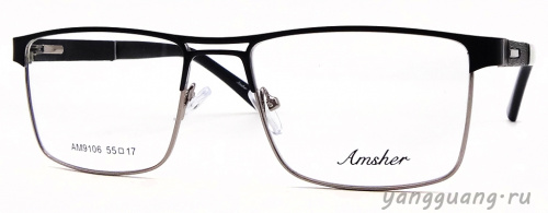 AMSHAR 9106 C6 55-17-145