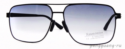 Хамелон 804 C1