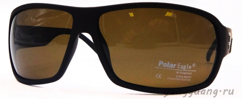 Polar Eagle 8229 C2