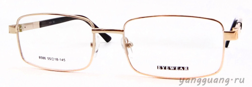 MIEN 8586 C2 55-18-145