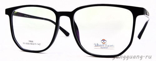ViBrant Vision 0009 C1 56-17-147