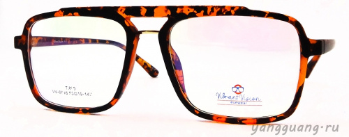 ViBrant Vision 0016 C11 53-19-147