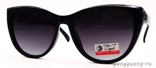 Polar Eagle 09482 C1