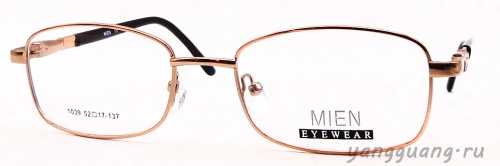 MIEN 1039 C100 52-17-137