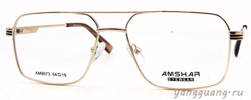 AMSHAR 9073 C1 54-19-145