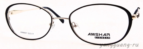 AMSHAR 8897 C6 53-17-140