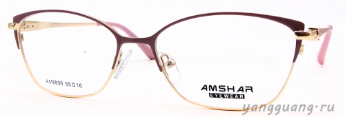 AMSHAR 8899 C5 55-16-140