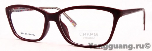 CHARM 6684 C2 54-16-145