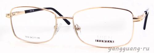 MIEN 7518 C2 54-17-140