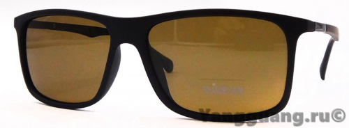 Polarized TR-90 18013 C3