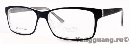 CHARM 667 C3 53-17-145