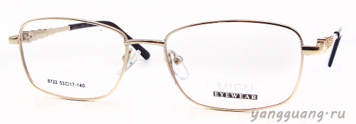 MIEN 8722 C2 53-17-140