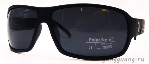 Polar Eagle 8229 C3