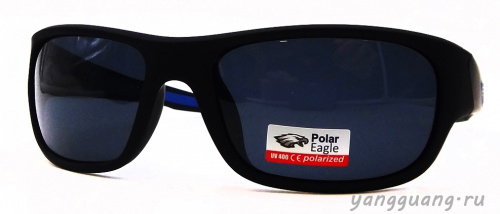 Polar Eagle 8249 C5 - «ЕКБ ОПТИКА» Polar Eagle 8249 C5