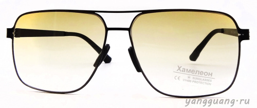 Хамелон 804 C2