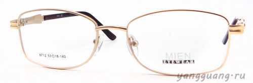 MIEN 8712 C79 53-18-140