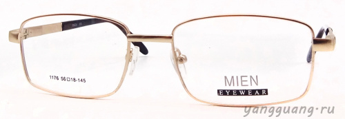 MIEN 1176 C79 56-18-145
