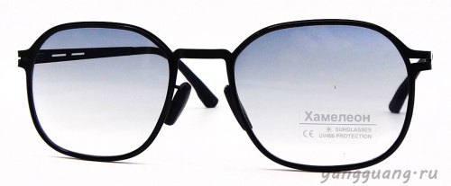 Хамелон 808 C1