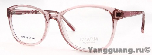 CHARM 6688 C2 53-17-146