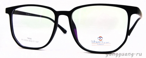 ViBrant Vision 0009 C2 56-17-147