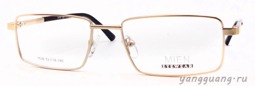 MIEN 7538 C79 53-18-140