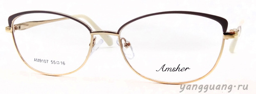 AMSHAR 9107 C1 55-16-140