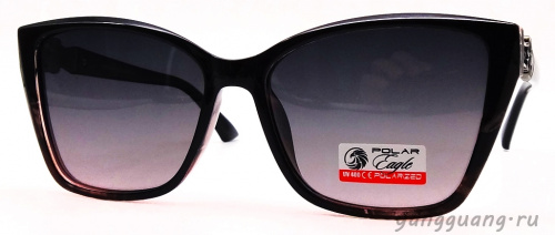 Polar Eagle 09484 C4