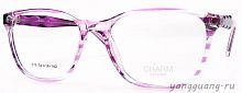 CHARM 679 C2 54-18-142