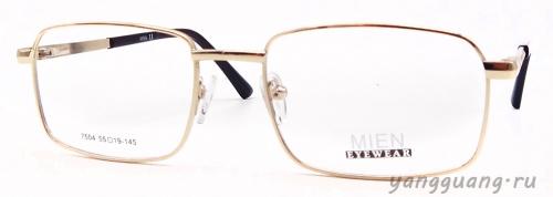 MIEN 7504 C2 55-19-145