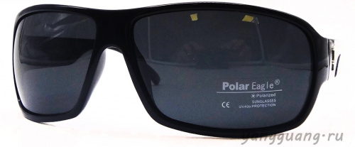 Polar Eagle 8229 C1