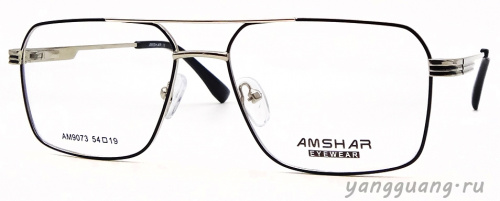 AMSHAR 9073 C6 54-19-145