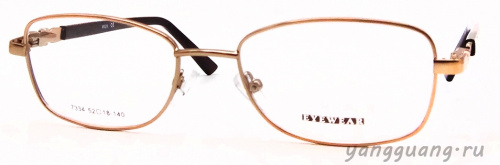 MIEN 7334 C100B 52-18-140