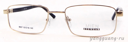 MIEN 8657 C2 53-18-140