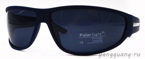 Polar Eagle 8201 C4