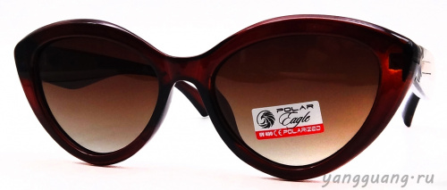 Polar Eagle 09575 C2