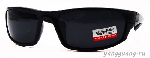 Polar Eagle 8241 C1 - «ЕКБ ОПТИКА» Polar Eagle 8241 C1