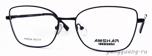 AMSHAR 9034 C6-1 55-17-140