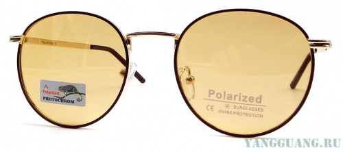 Polarized 06003 C2