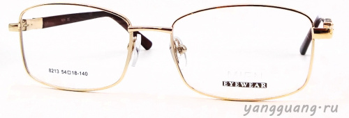 MIEN 8213 C2 54-18-140