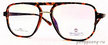 ViBrant Vision 0017 C11 55-17-147
