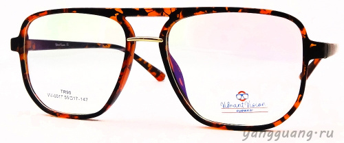 ViBrant Vision 0017 C11 55-17-147