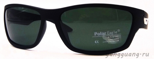 Polar Eagle 8211 C4