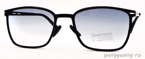 Хамелон 809 C1