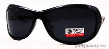 Polar Eagle 09554 C1