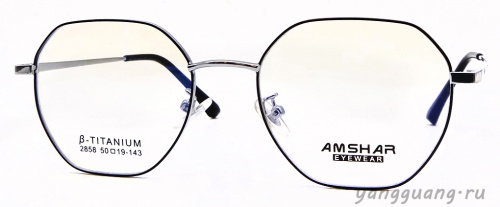 AMSHAR 2858 C2 50-19-143