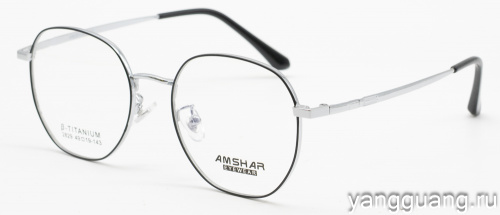 AMSHAR 2829 C2 49-18-143
