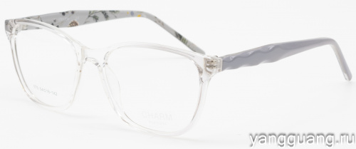 CHARM 679 C1 54-18-142